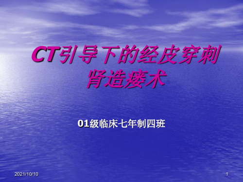 CT引导下的经皮穿刺肾造瘘术