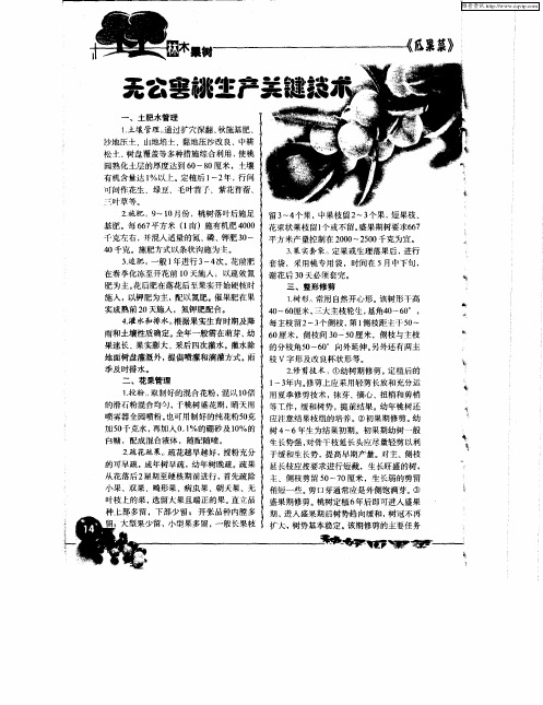 无公害桃生产关键技术