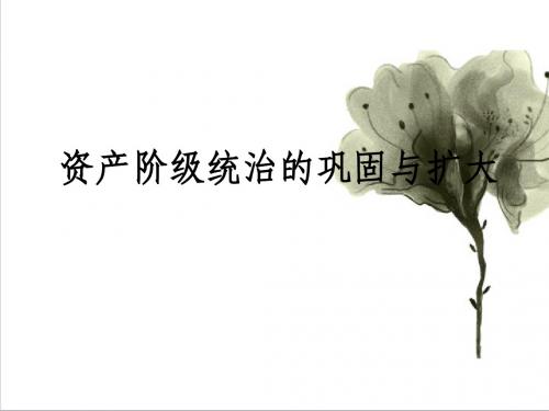 【中考历史】2018最新人教版历史总复习课件：资产阶级统治的巩固与扩大