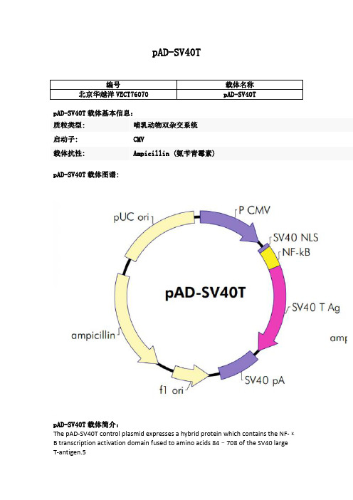 pAD-SV40T使用说明