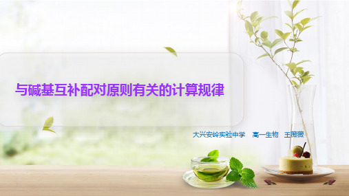 碱基互补配对原则有关的计算规律(共11张PPT)
