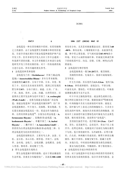 名贵药材_金线莲_林宗铿