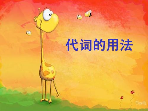 代词的用法(PPT)