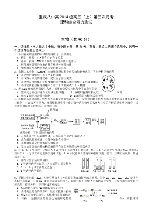 重庆八中2014届高三第三次月考 生物