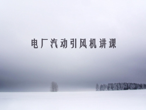 600MW汽动引风机培训
