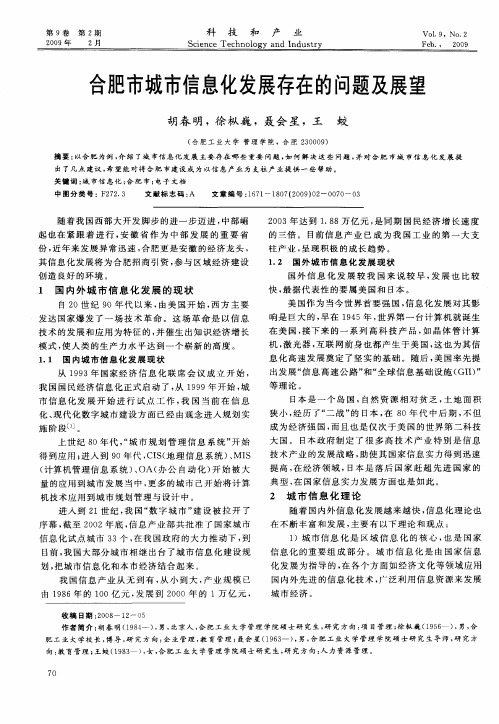 合肥市城市信息化发展存在的问题及展望
