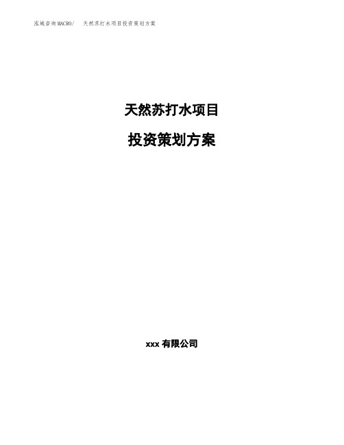 天然苏打水项目投资策划方案范文