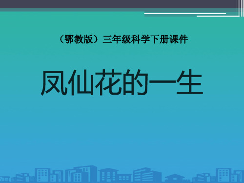 《凤仙花的一生》PPT课件