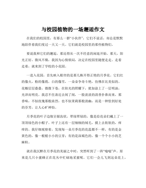 与校园植物的一场邂逅作文