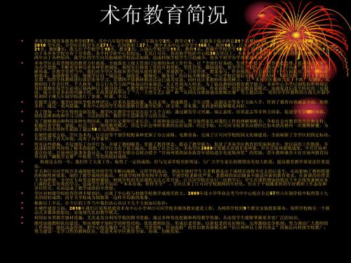 术布教育简况