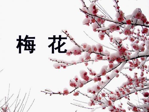 二年级语文上册第26课古诗两首(夜雪)课件语文S版