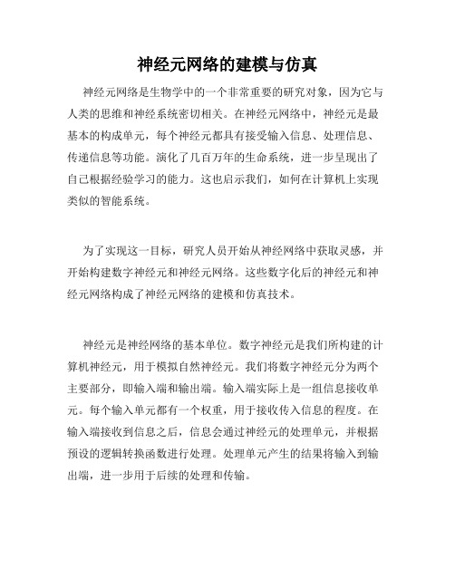 神经元网络的建模与仿真