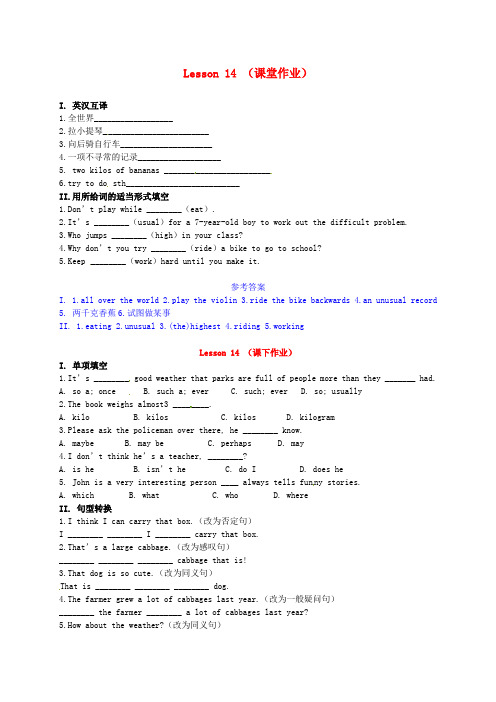 九年级英语上册 Unit2 Lesson14课时训练 冀教版