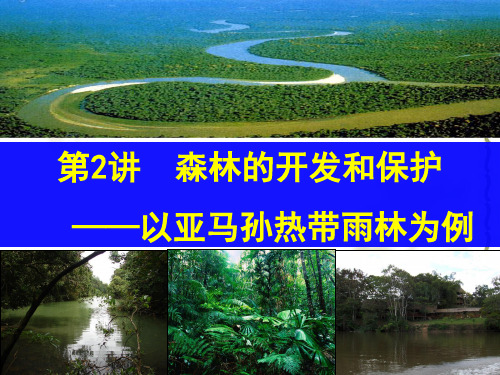 森林的开发和保护——以亚马逊热带雨林为例优质课件共30张