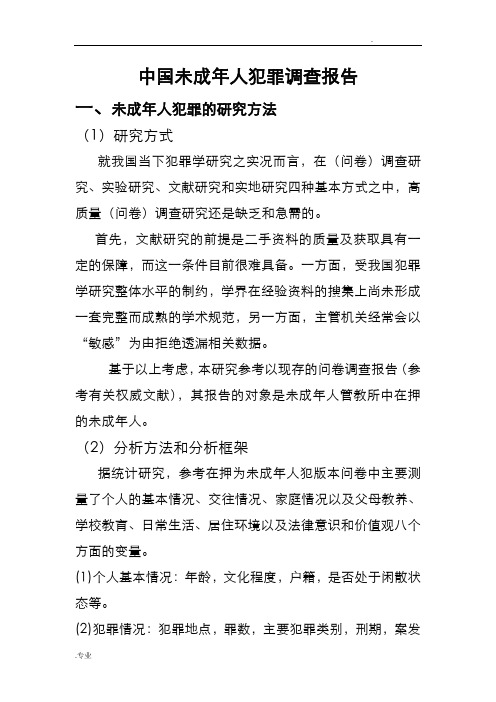 中国未成年人犯罪调查报告