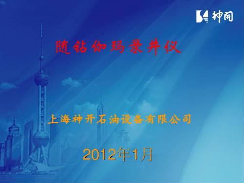 随钻伽玛录井仪