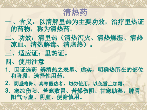 4-清热泻火药123