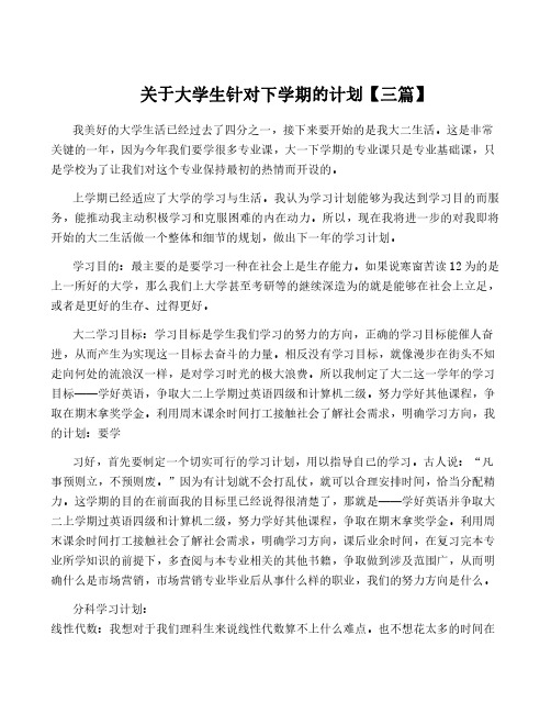 关于大学生针对下学期的计划【三篇】