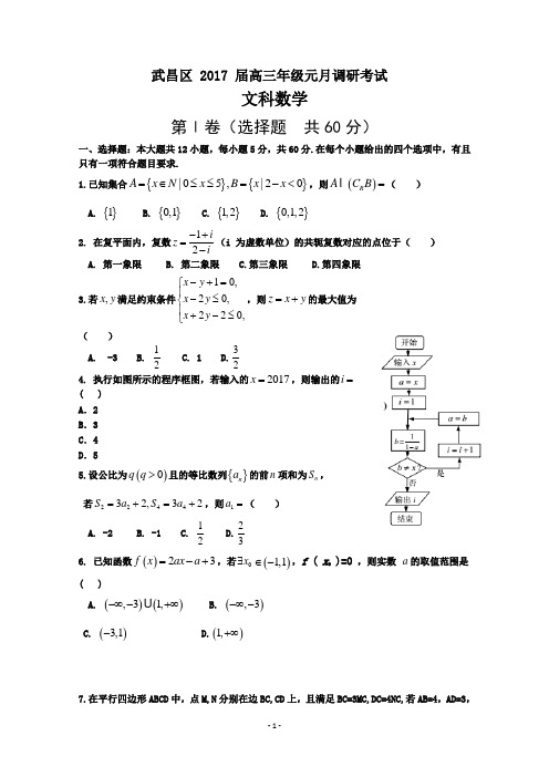 湖北省武昌区2017届高三元月调考数学(文)试题 Word版含答案