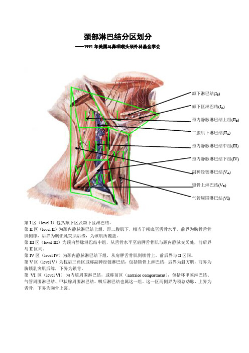 颈部淋巴结分区划分