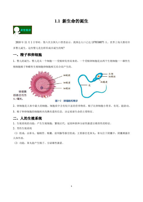 1.1 新生命的诞生