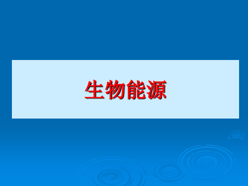 【高中化学】生物能源ppt