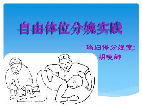 胡晓娜 自由体位分娩实践ppt课件