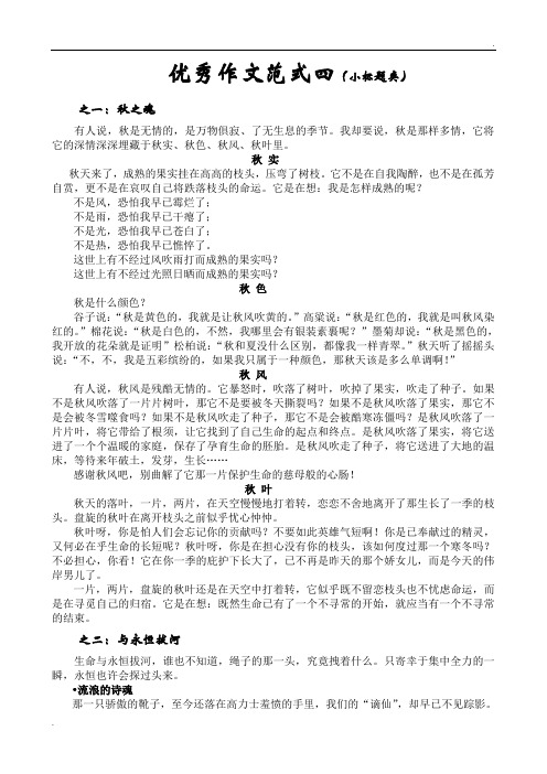 优秀作文范式四(小标题类)