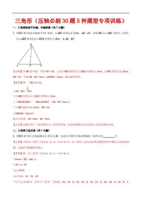 三角形(压轴必刷30题5种题型专项训练)—2023-2024学年八年级数学上册(人教版)(解析版)