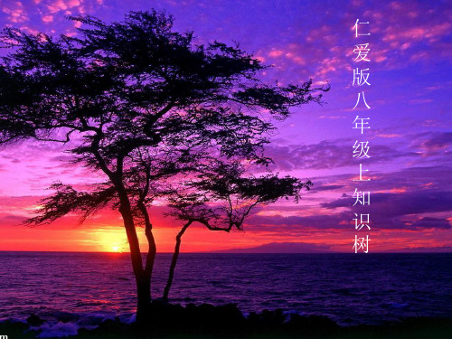 仁爱八年级英语知识树