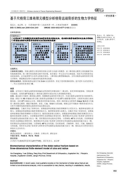 基于尺桡骨三维有限元模型分析桡骨远端骨折的生物力学特征