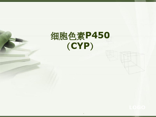 细胞色素P450ppt课件