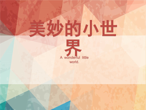 一年级上册美术课件-1.1  美妙的小世界   岭南版(共18张PPT)