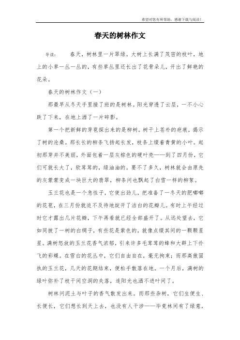 春天的树林作文