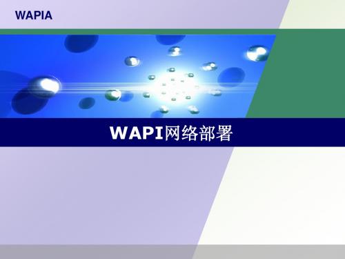 WAPI网络部署