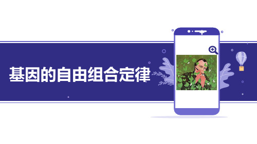 一轮复习-基因自由组合定律