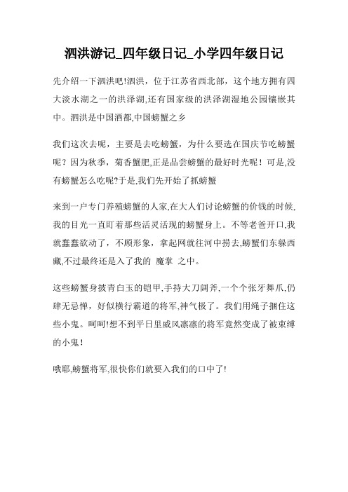 泗洪游记_四年级日记400字_小学四年级日记.doc