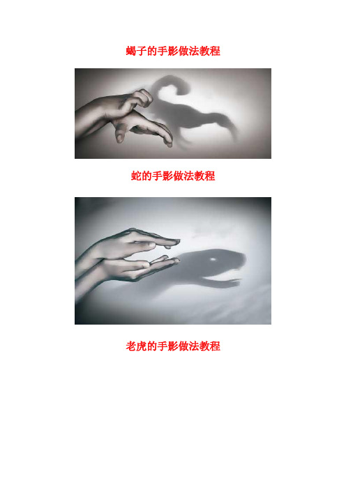 手影技法