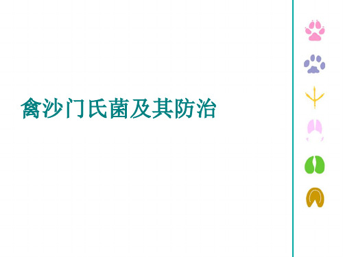 禽沙门氏菌病