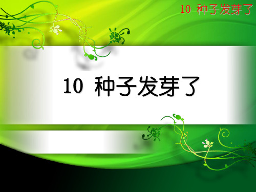 青岛版六三制五年级下册科学 《10 种子发芽了》课件2