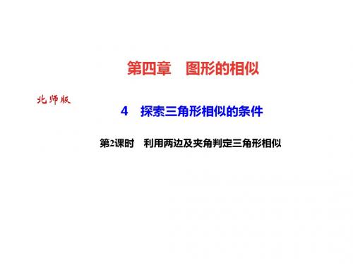 2019年年秋北师大版数学(广东)九年级上册作业课件：4 探索三角形相似的条件第2课时 利用两边及夹角判定