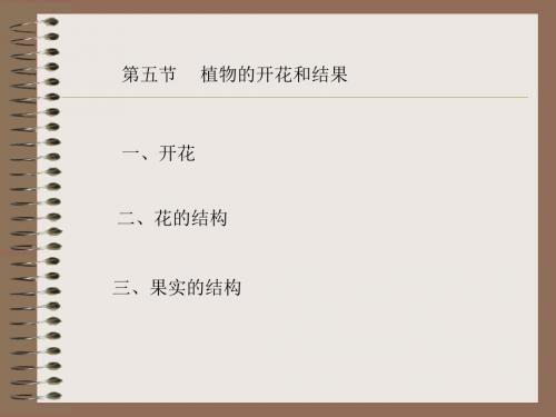 植物的开花和结果正式版