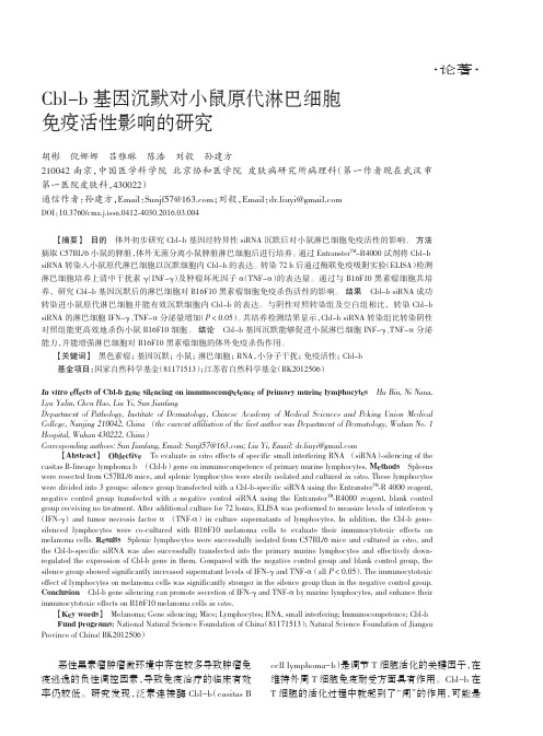 Cbl-b 基因沉默对小鼠原代淋巴细胞免疫活性影响的研究要点