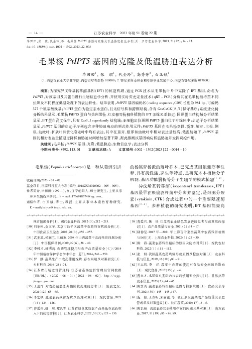 毛果杨PtIPT5基因的克隆及低温胁迫表达分析