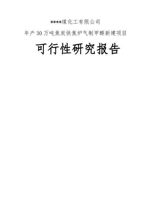 最新某煤化工有限公司年产30万吨焦炭供焦炉气制甲醇新建项目可行性研究报告