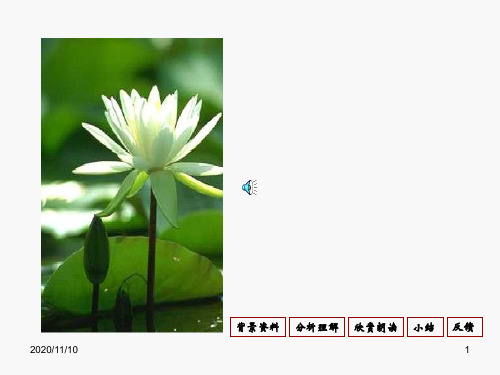 人教版部编版八年级上册语文 《爱莲说》PPT教学课件