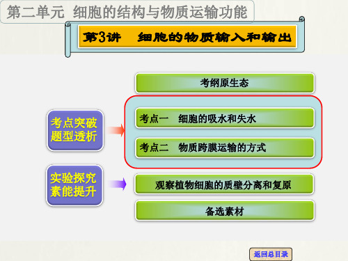 高考生物 一轮复习 第3讲 细胞的物质输入和输出