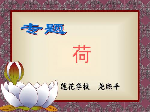 A专题：荷