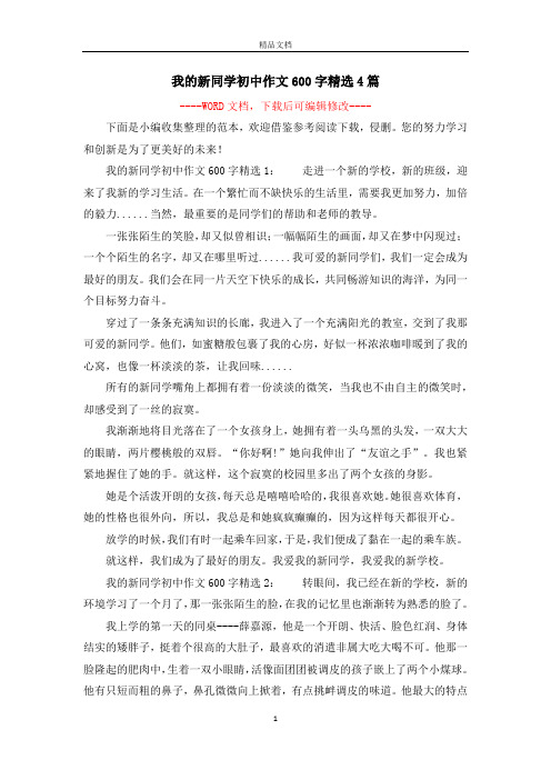 我的新同学初中作文600字精选4篇