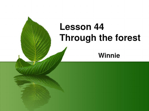 第二册新概念英语NCE2_Lesson44 Through the forest(共29页)最新精品课件.ppt